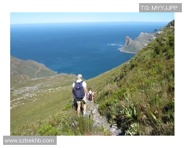 芬兰足球明星的传奇故事与成就探索