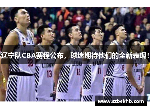 辽宁队CBA赛程公布，球迷期待他们的全新表现！